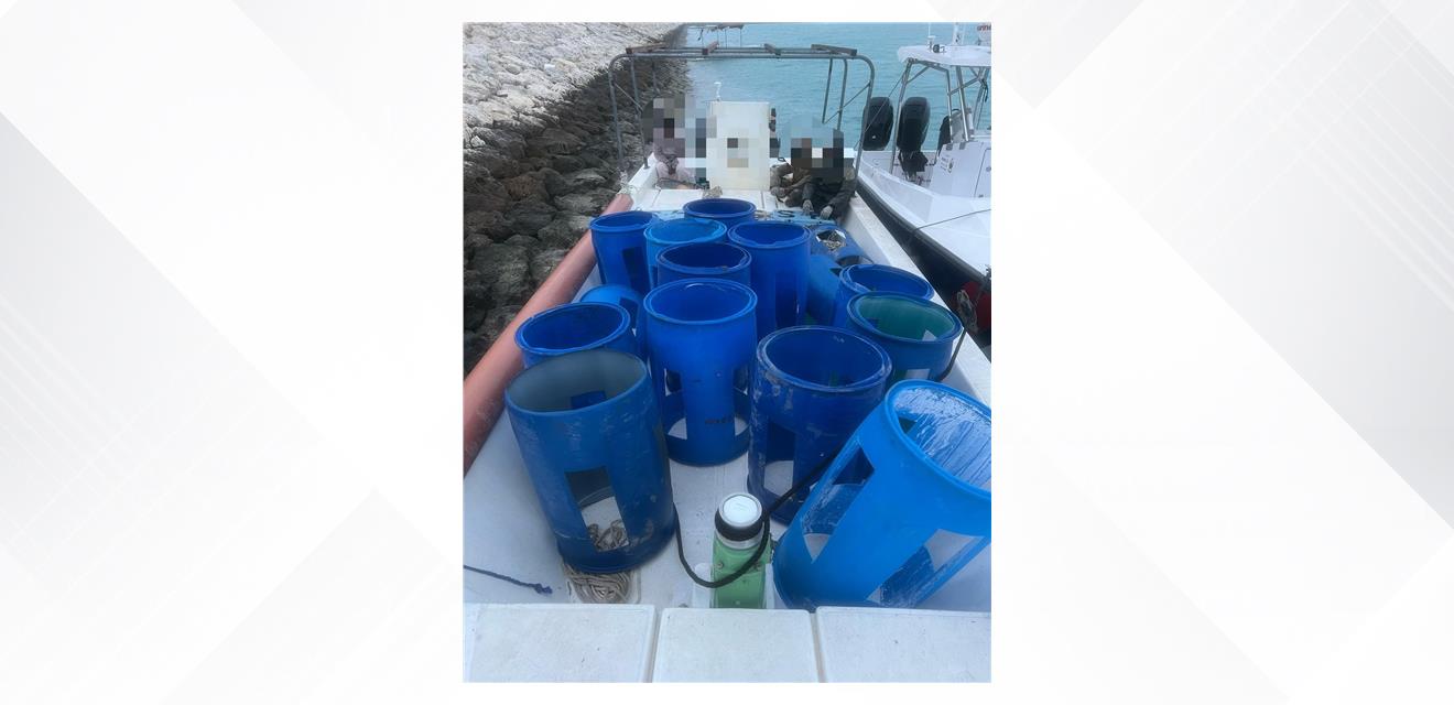 خفر السواحل : ضبط 3 بحارة استخدموا أدوات صيد غير قانونية<